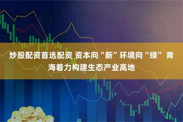 炒股配资首选配资 资本向“新”环境向“绿” 青海着力构建生态产业高地